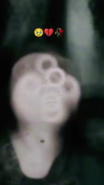 @i͋s͋p͋a͋ C͋h͋a͋u͋d͋h͋a͋r͋y͋ ★{