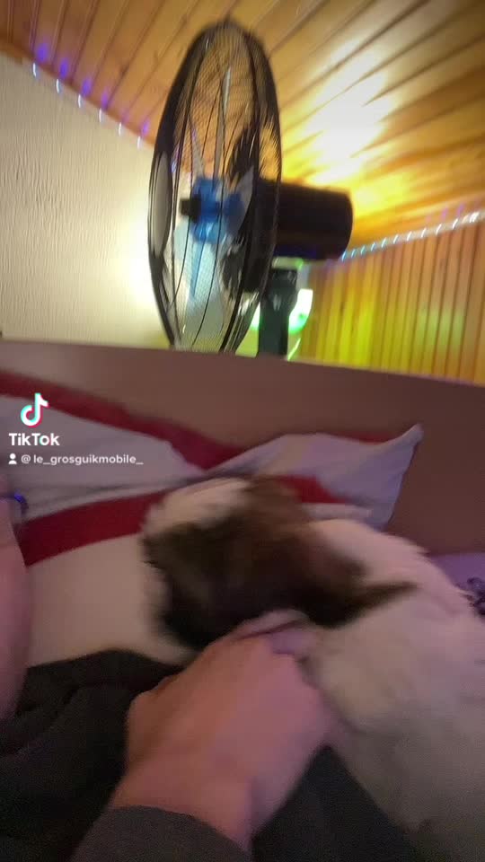 @N’importe qui