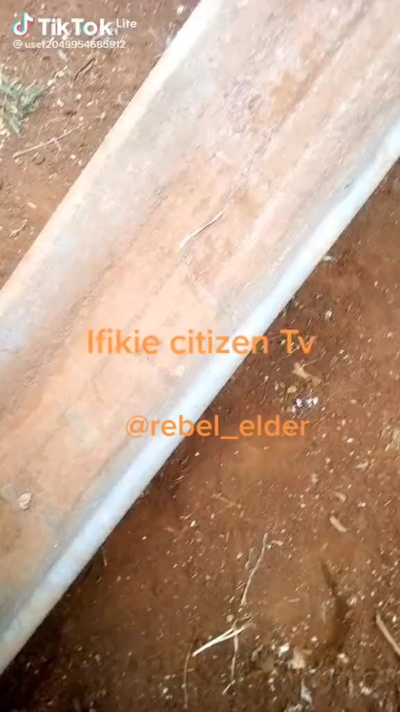 @Rebel Elder