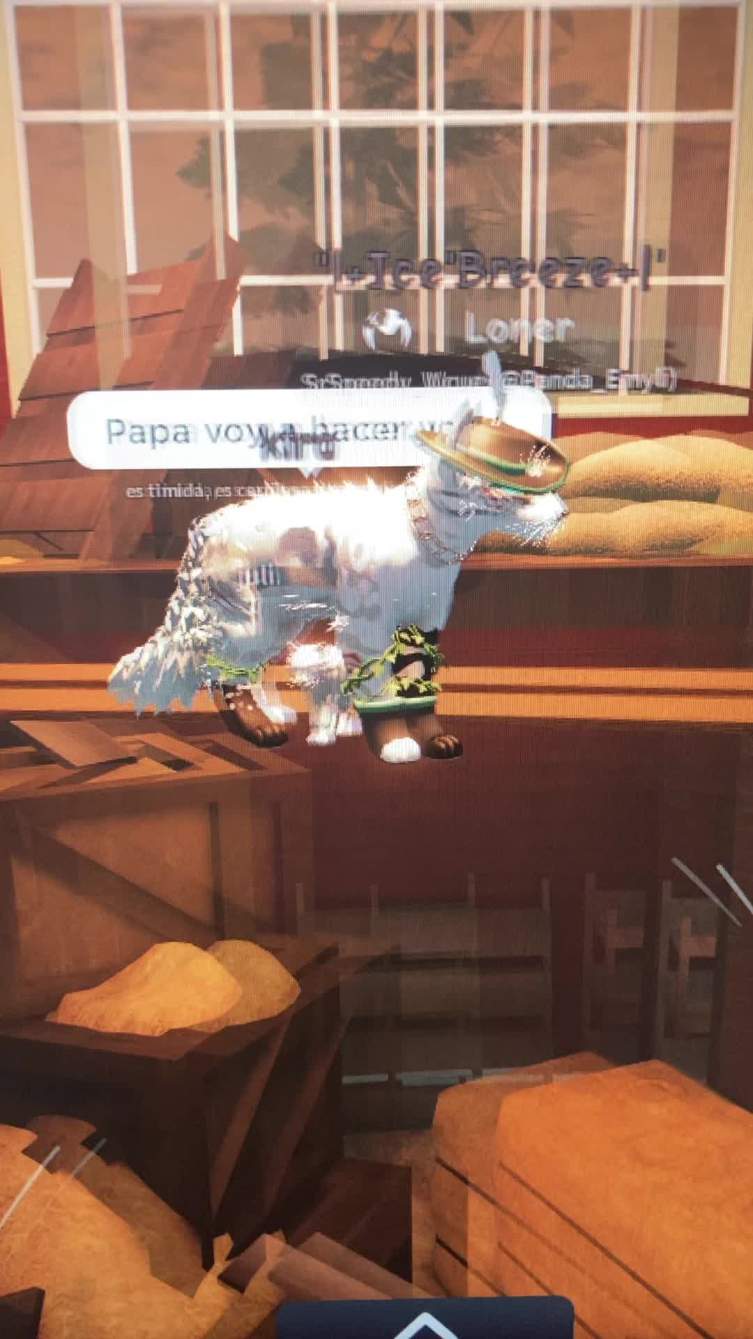 @𝐶𝑎𝑝𝑡𝑎𝑖𝑛 𝑆𝑝𝑎𝑟𝑟𝑜𝑤
