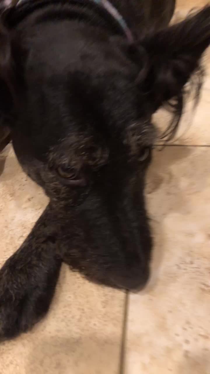 @discodogs13
