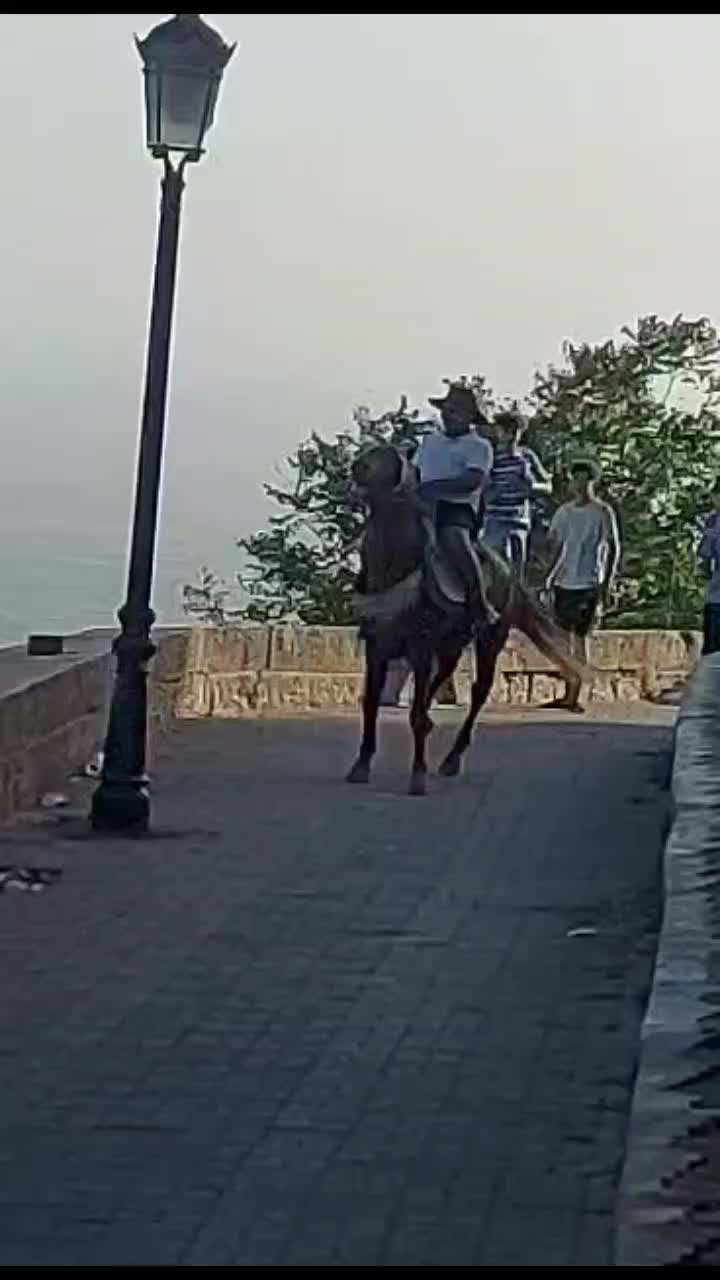 @حميد محمودي.