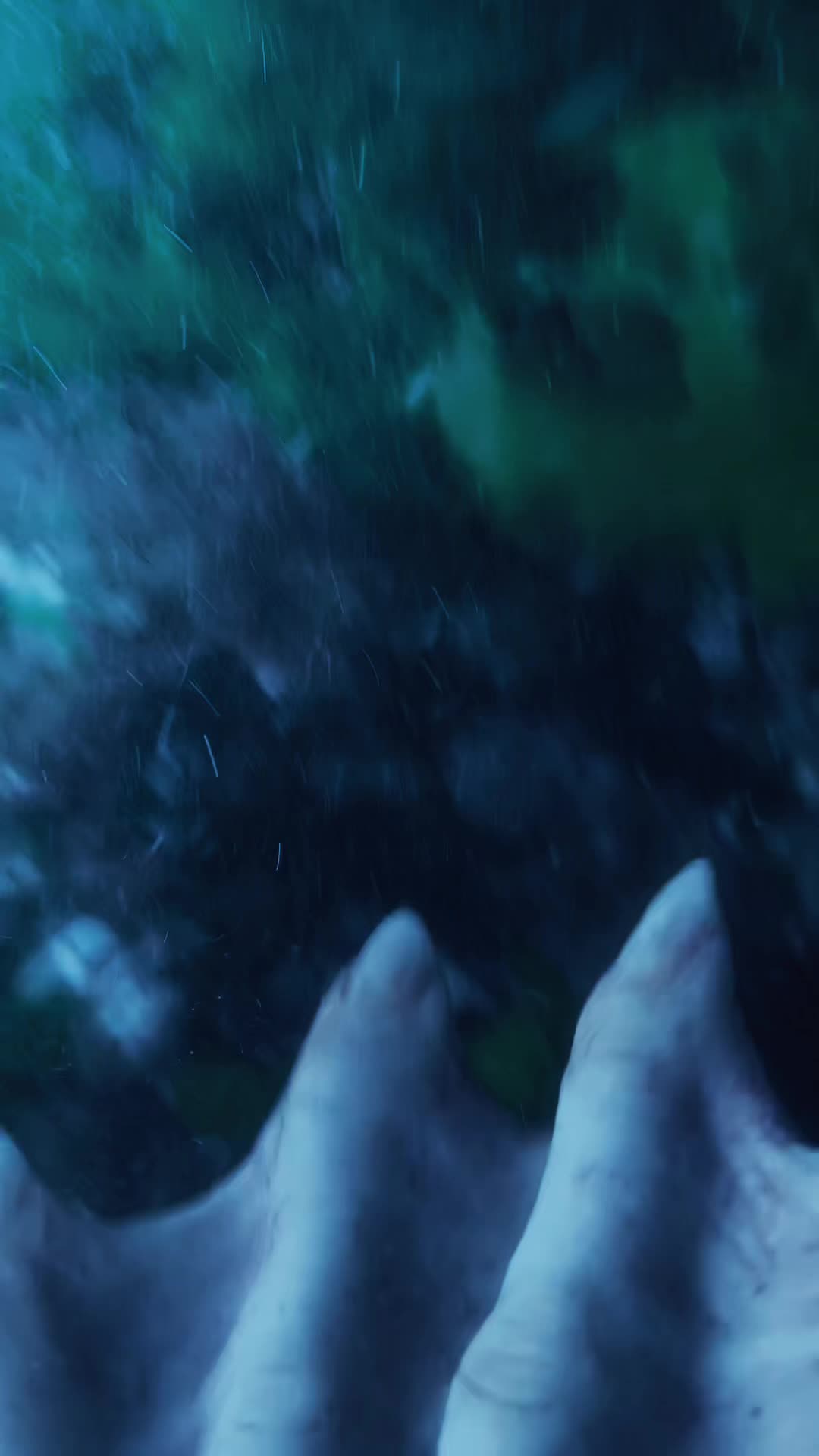 @kurague🐟