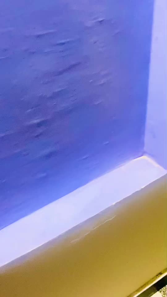 @GraySonStellaCattery