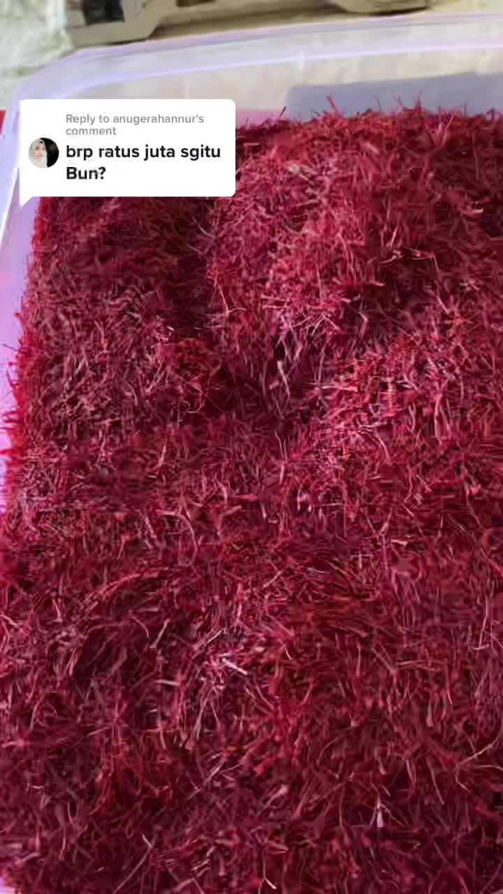 @Liburan Kashmir India