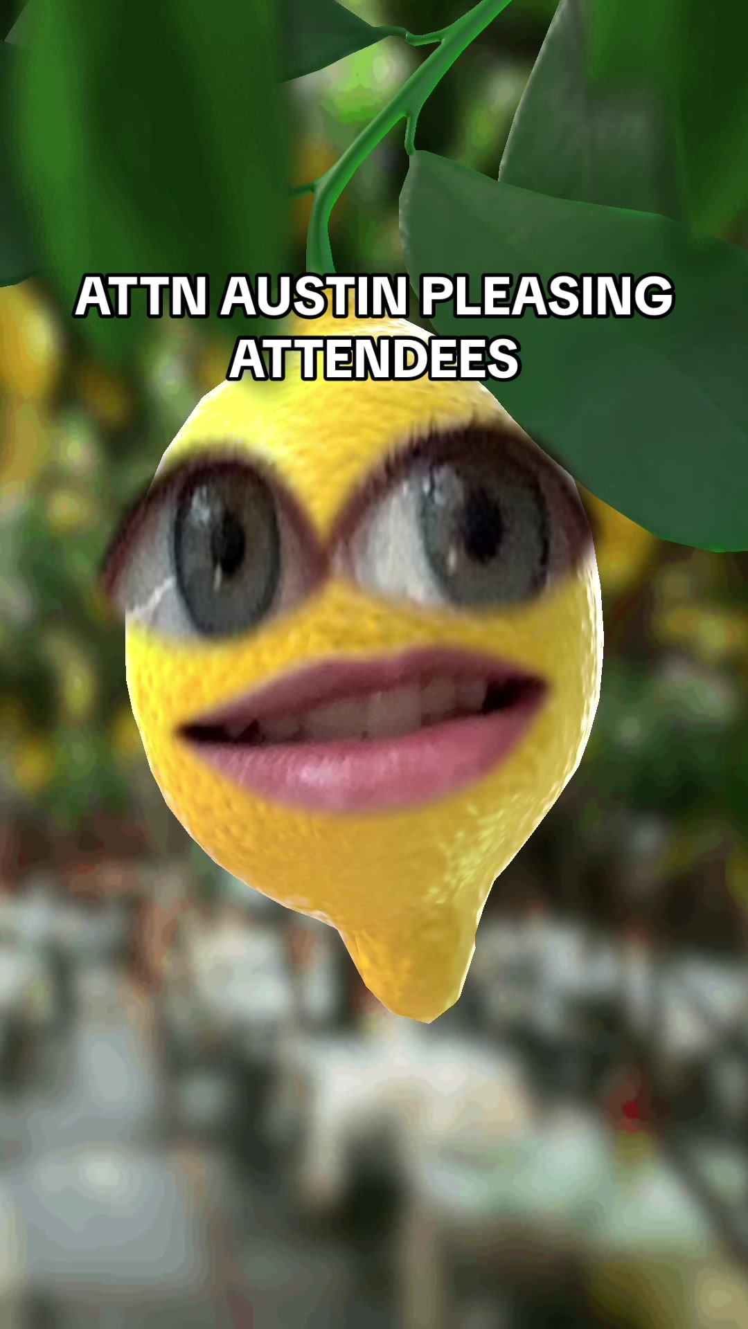 @talkinglemonrry