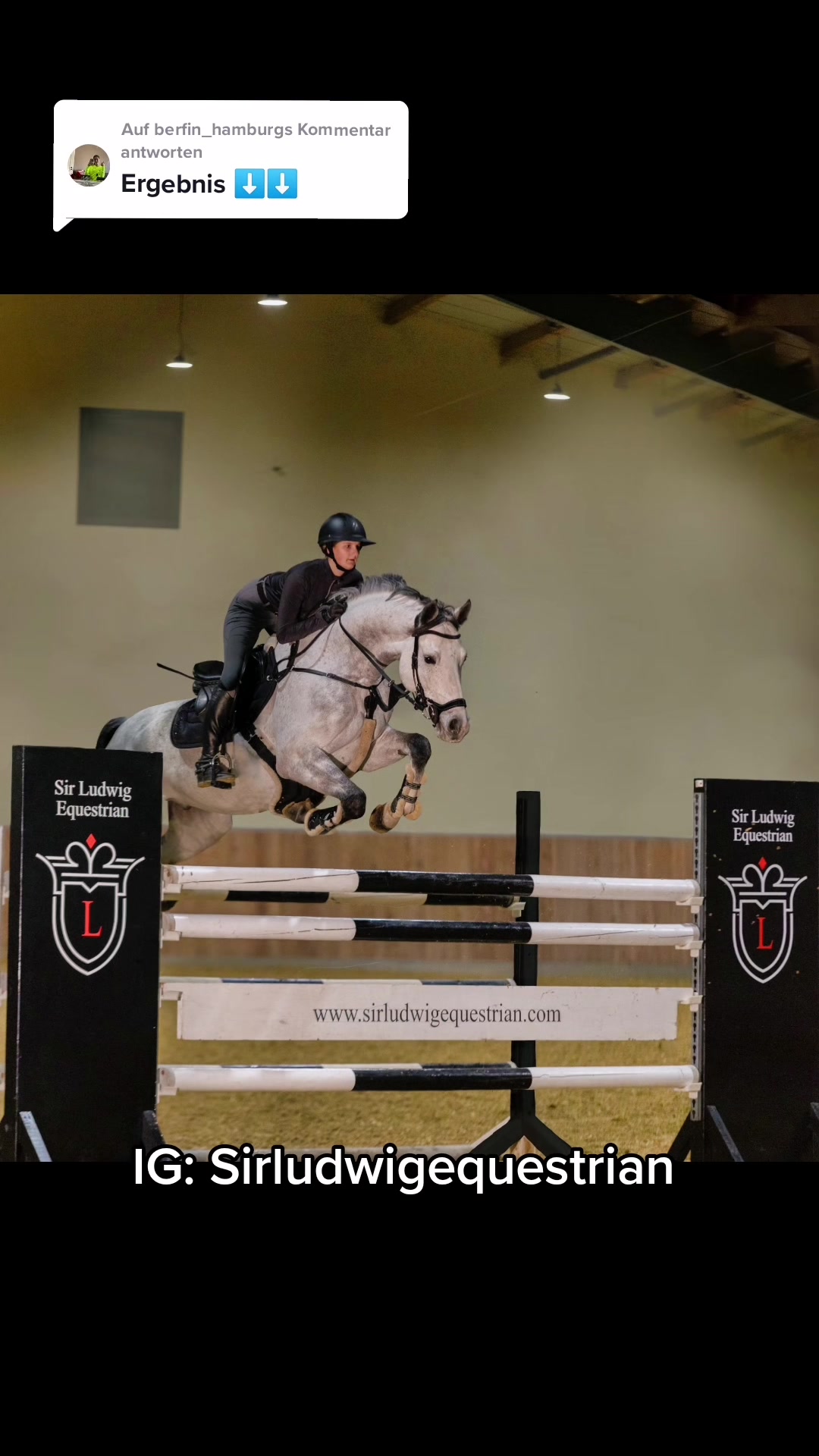 @Sir Ludwig Equestrian