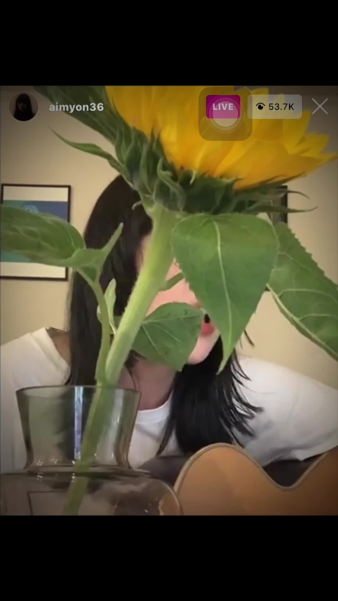 @🦭✨🤍