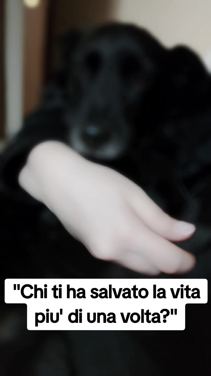 @_Elchiam_
