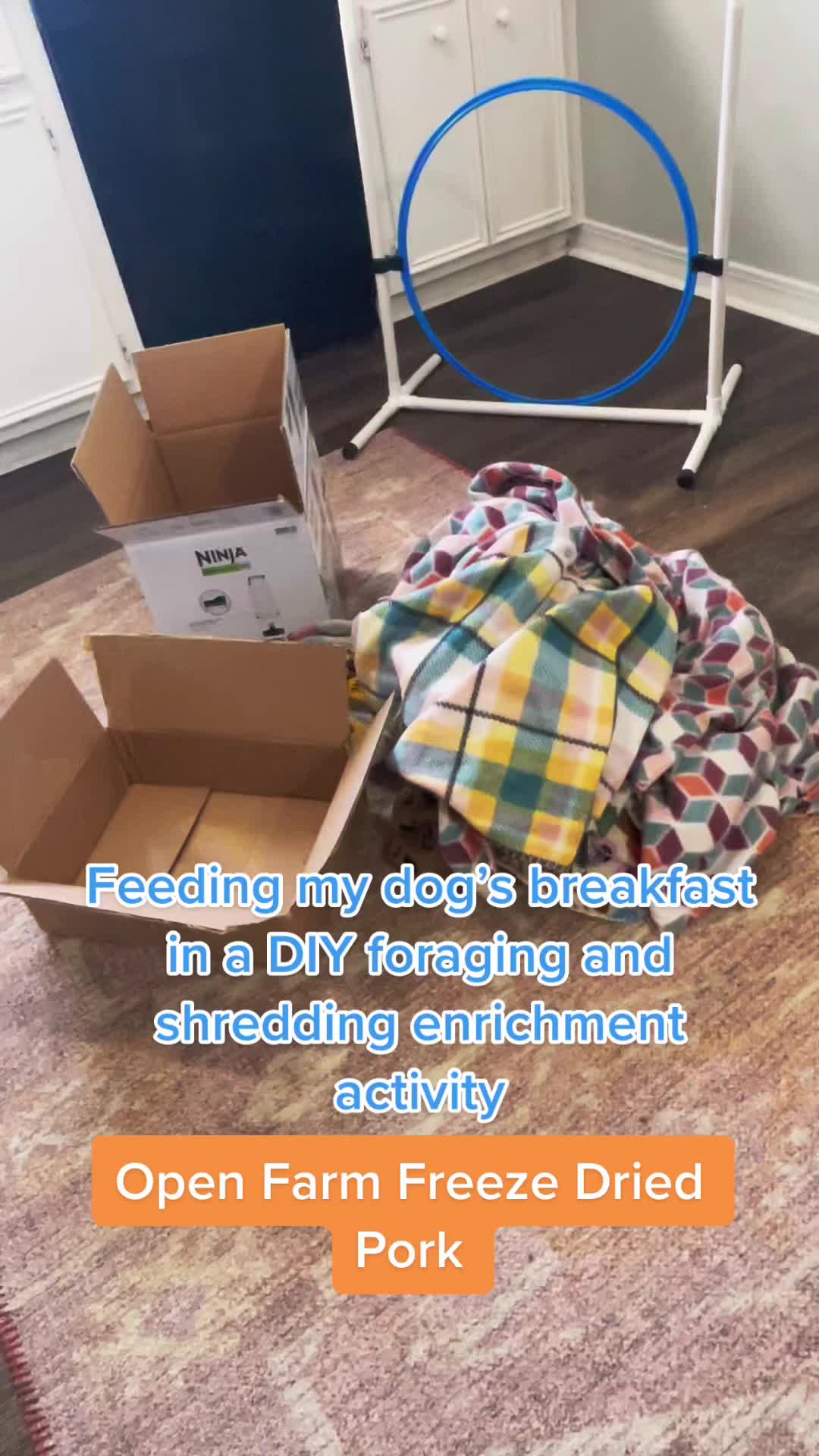 @sentientsparky