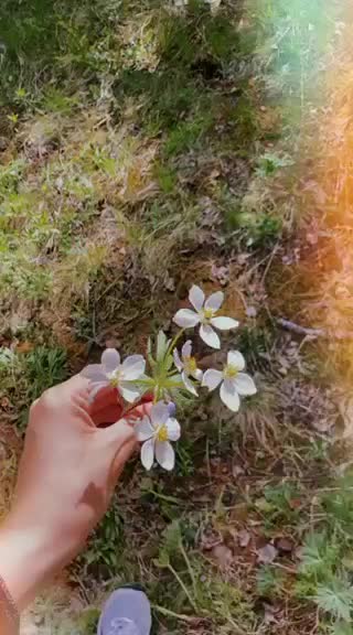 @Солонго Батжаргал