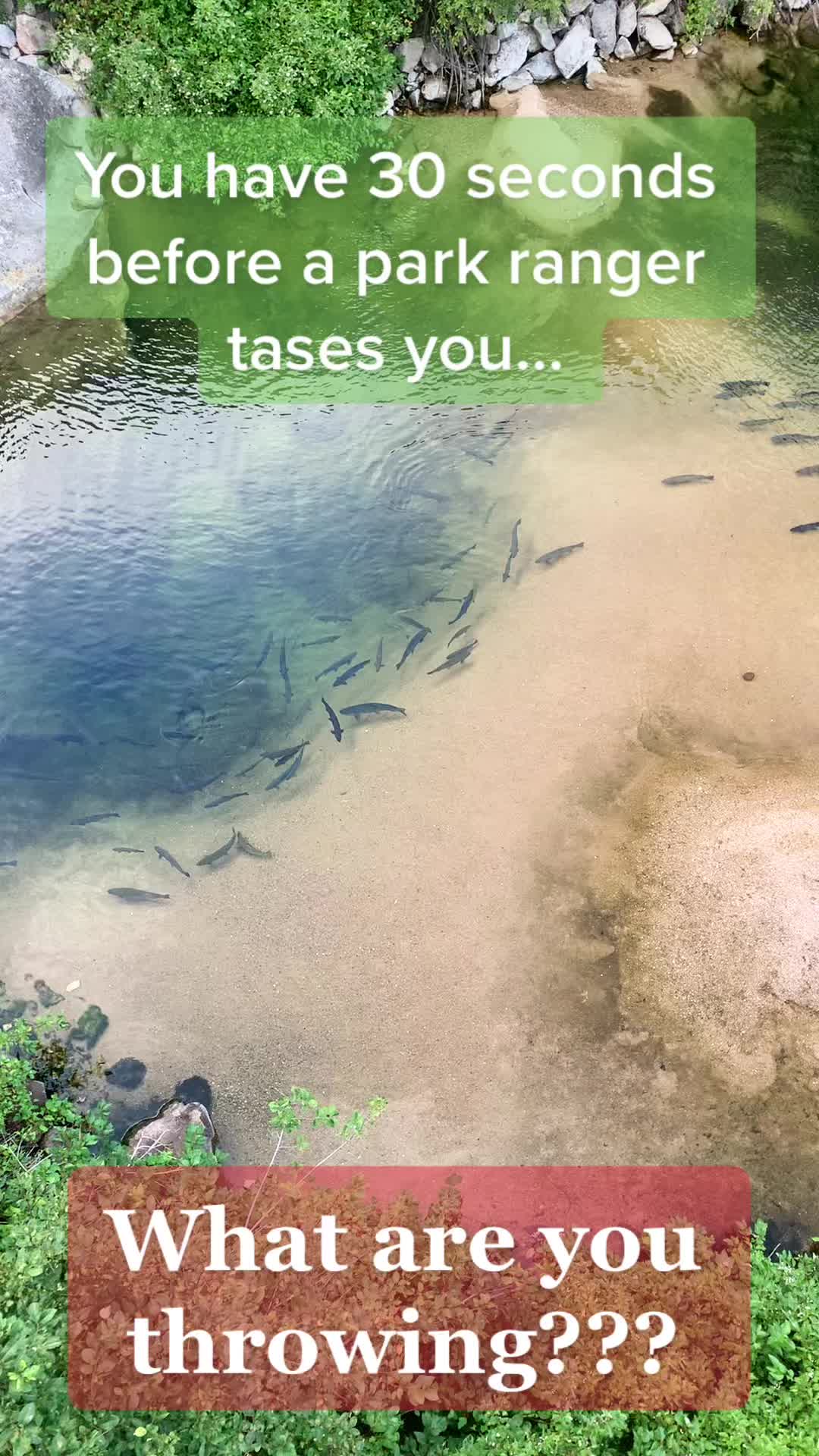 @Flyfishing_Sucks