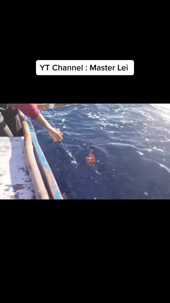 @Master Lei