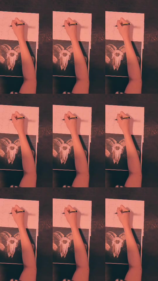 @Jade Browning - Illustrator