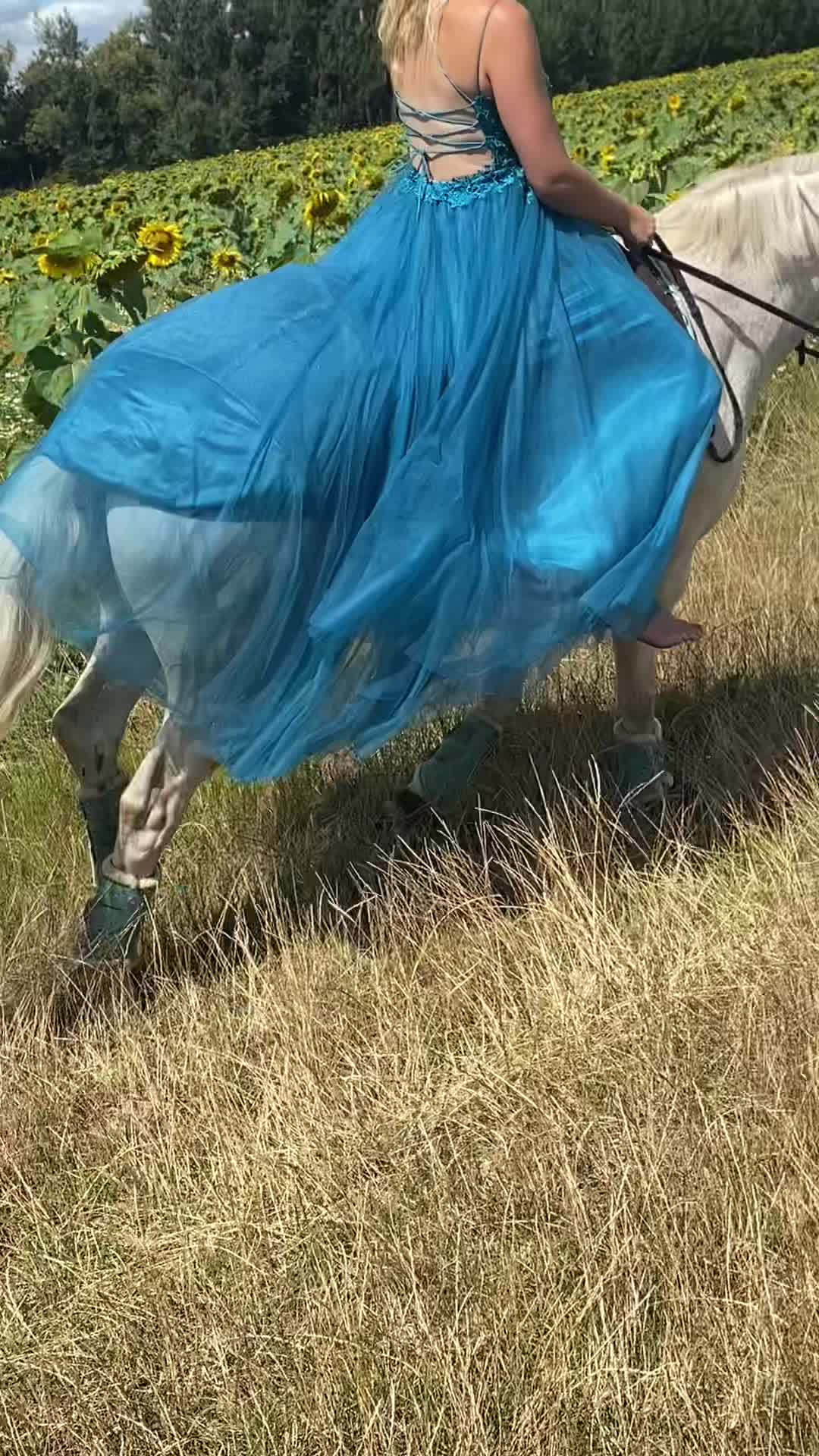 @show.jumper_speedy