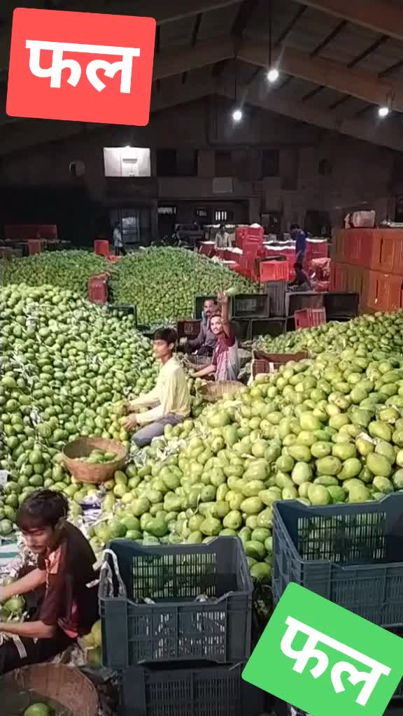 @gujju@gujarat