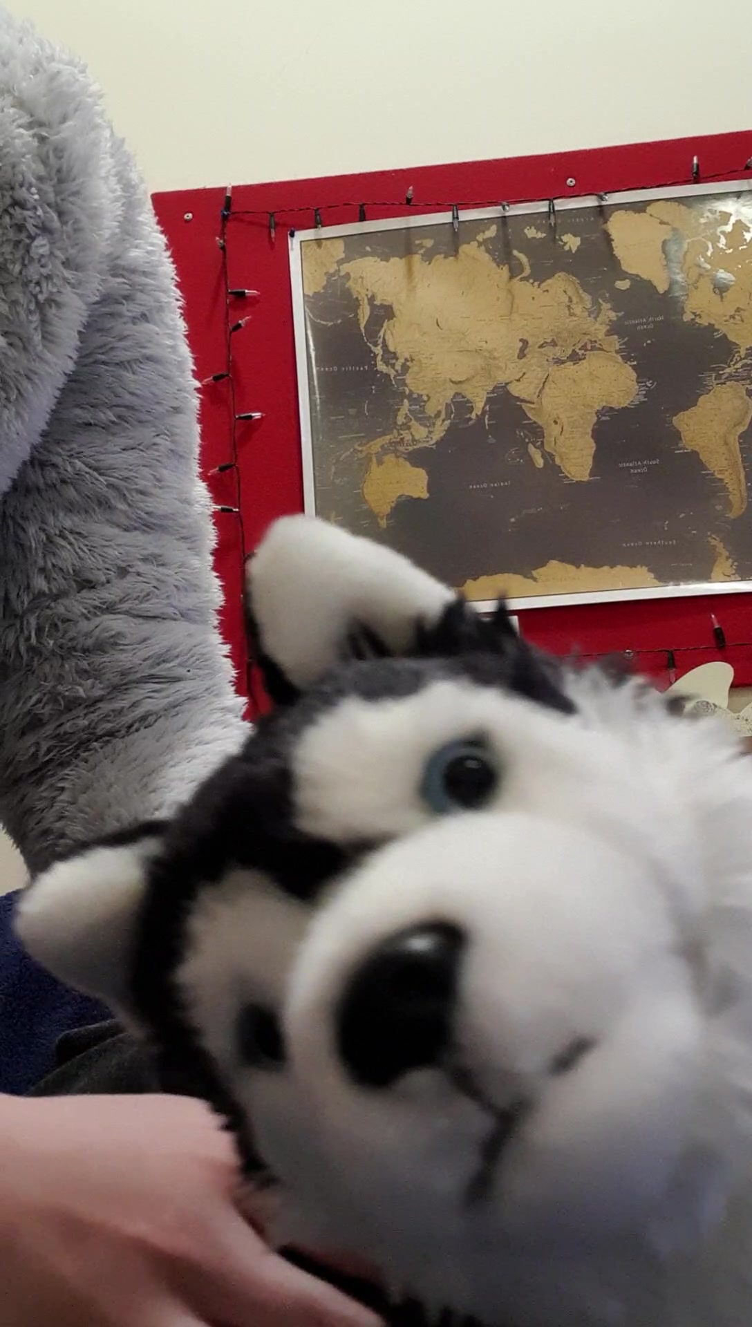 @Wolfy Ted