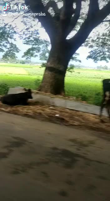 @vijay prabakaran