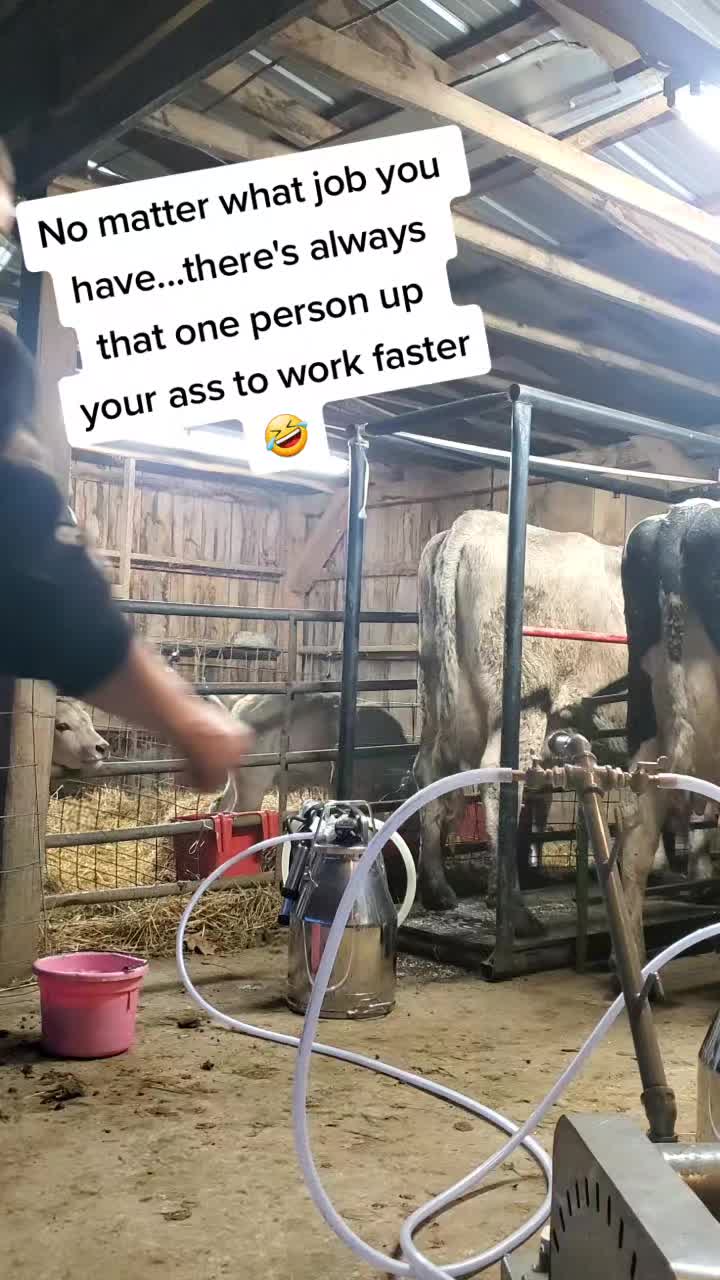 @Leaning Oaks Farm