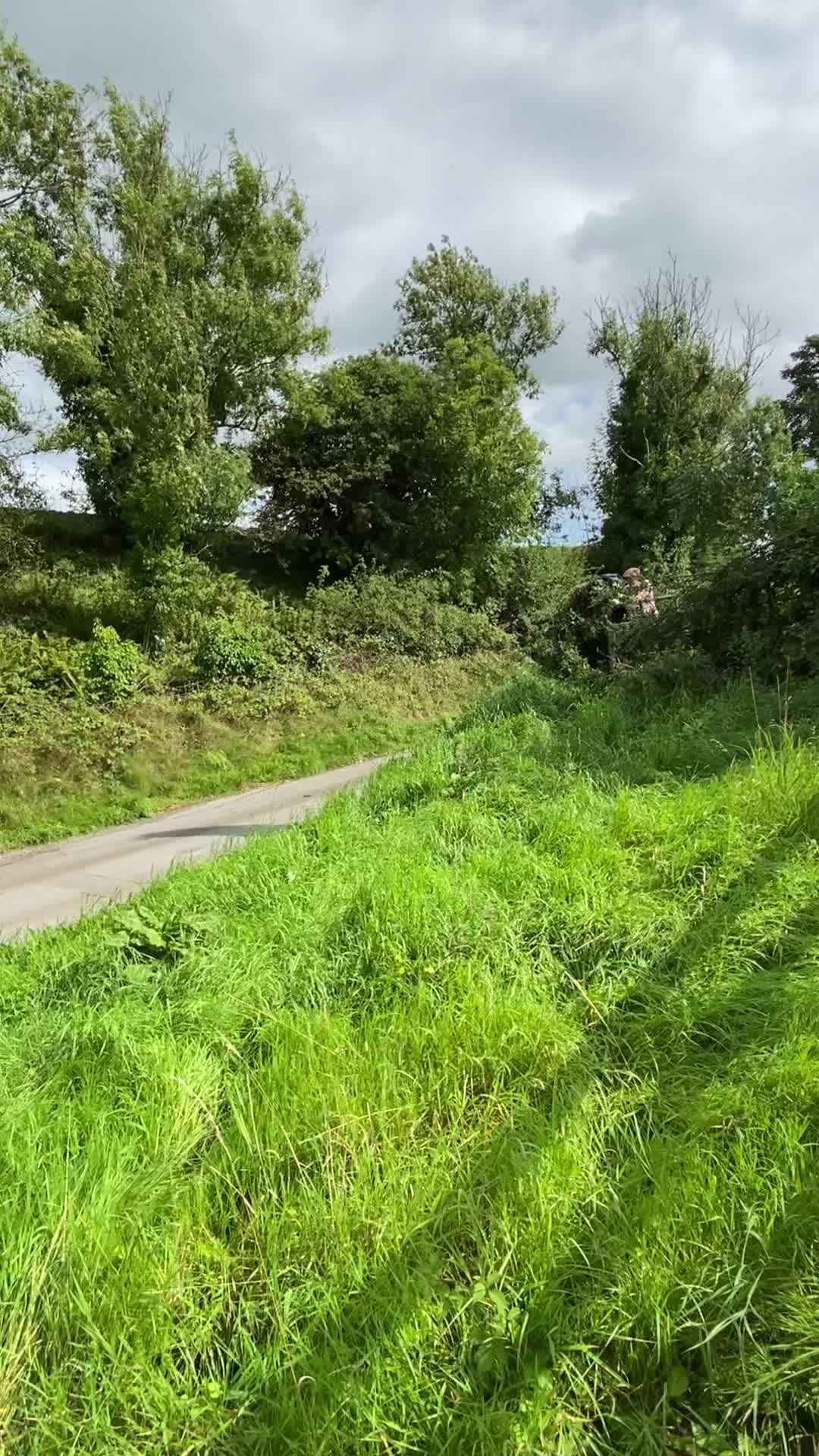 @Toner_motersport
