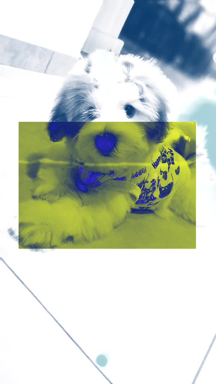 @🦋🤍