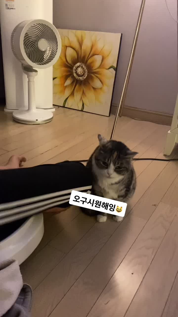 @jju