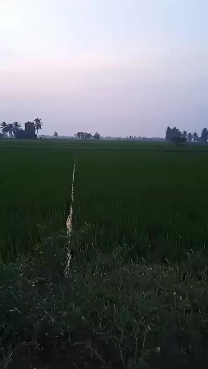 @Mass Saravanan