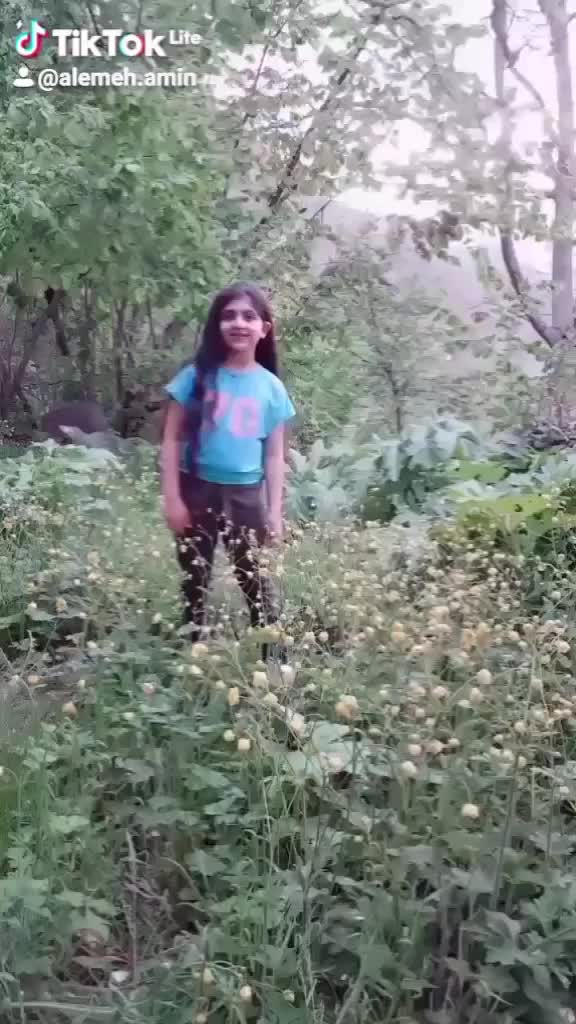 @alemeh