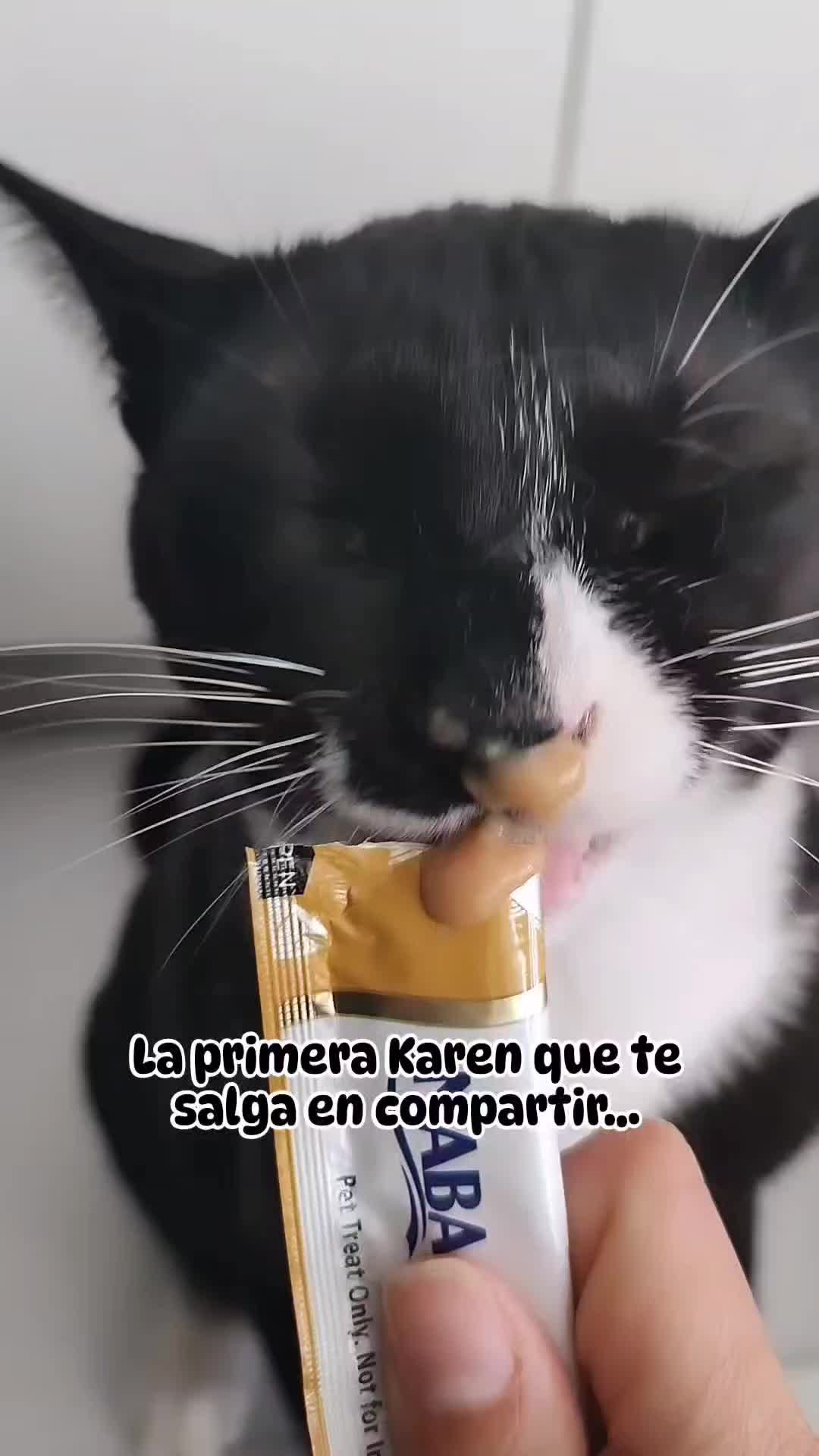 @Cooper, Arya, Aru y Sully 🐾