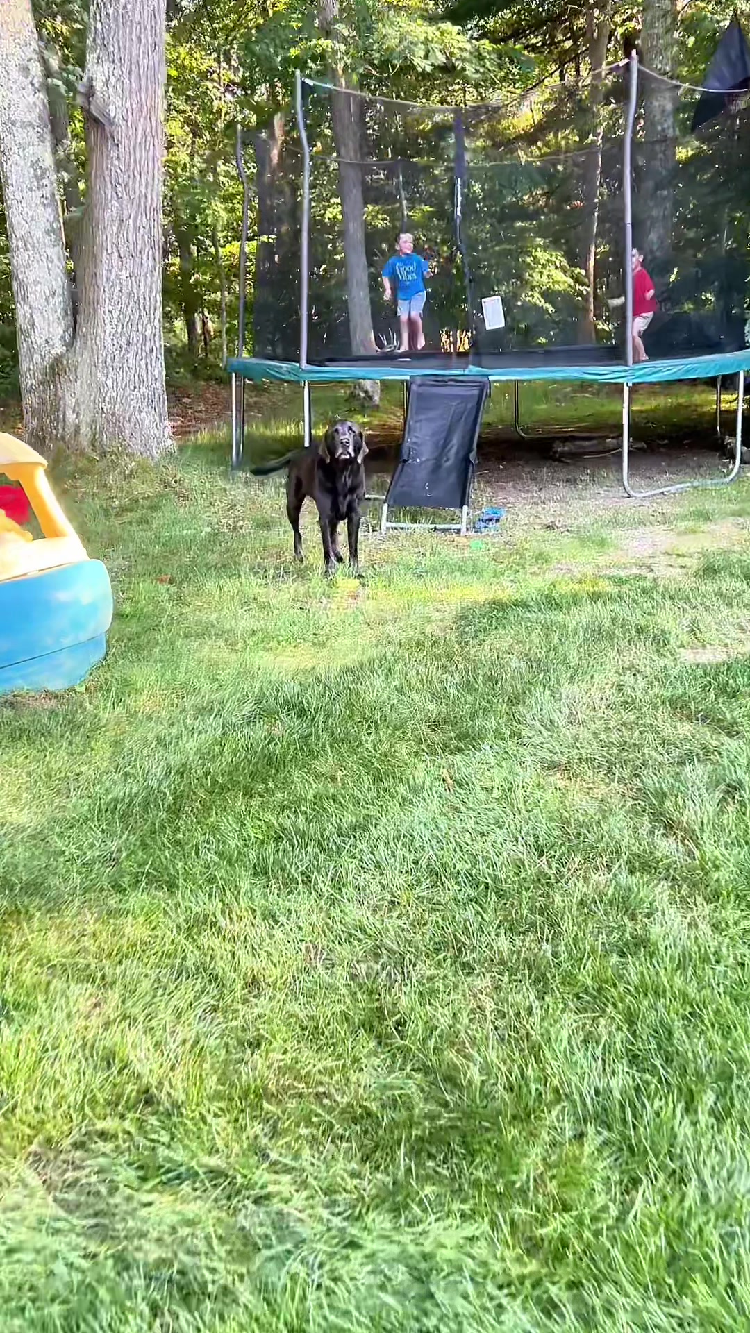 @Adventures of Gunner & Cookie