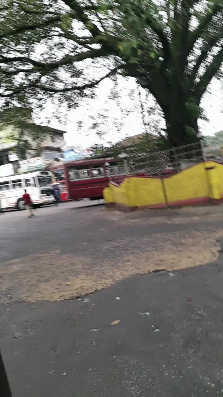 @Y.S.T . நான் ஒரு முட்டாள் பெண்