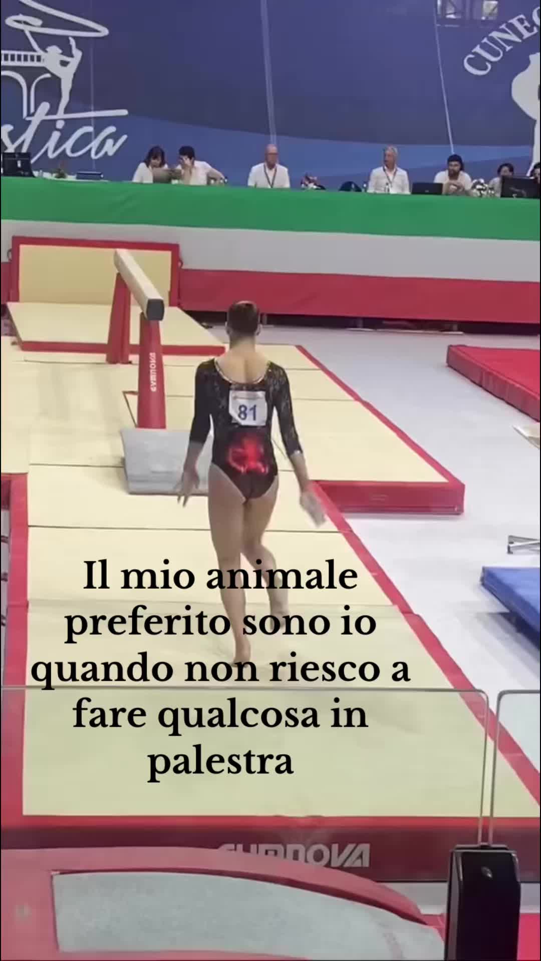 @Veronica Mandriota