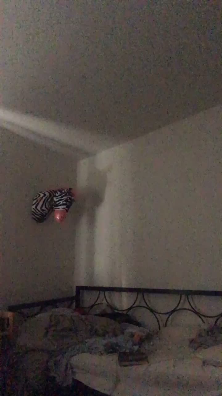 @gay.cat.furry