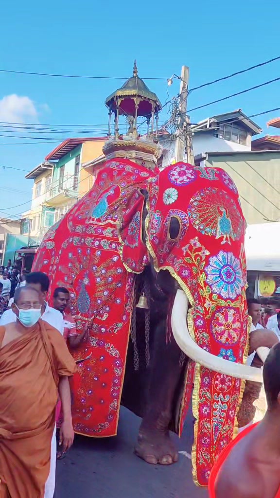 @Sadula Samarawickrama