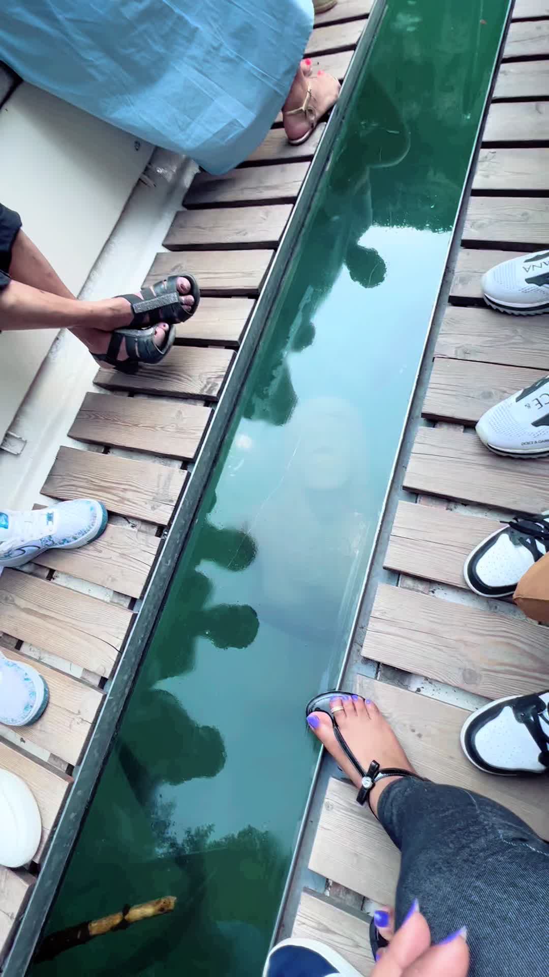 @K4J450👨👩👦👦