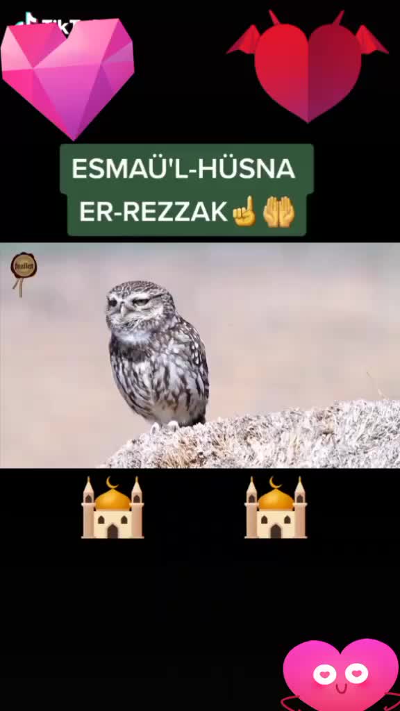 @fatihkahtali44