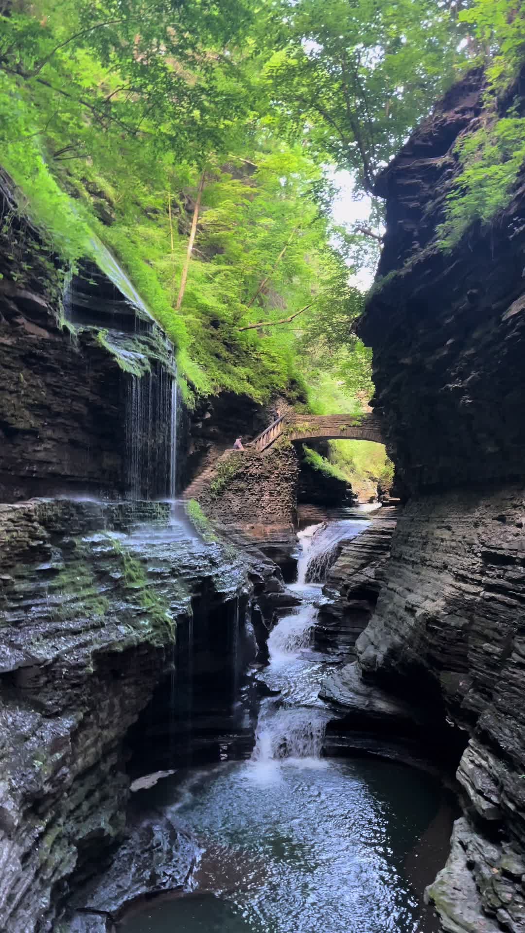 @Mnprairiegal