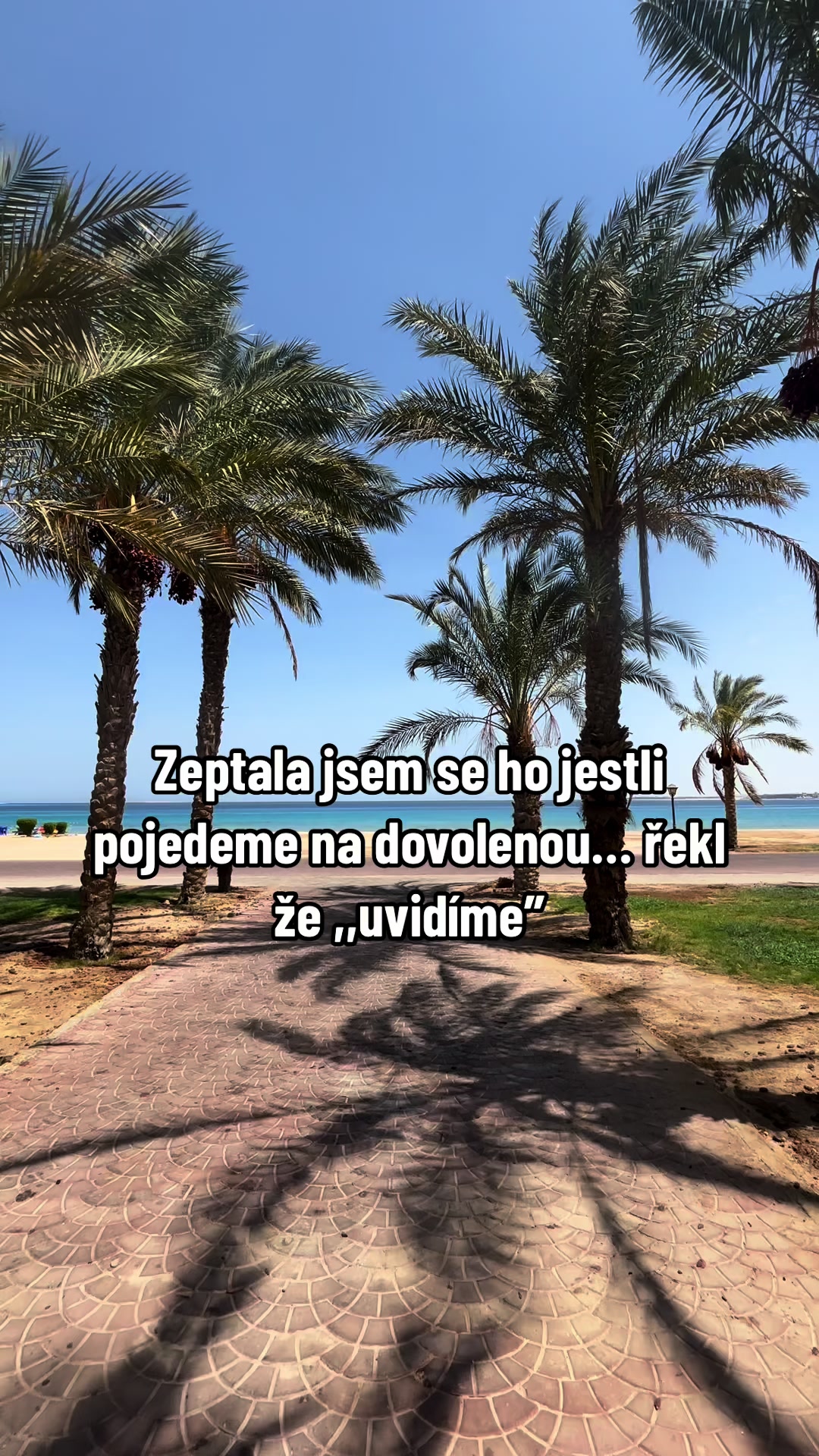 @Viktorie Petrž&iacute;lkov&aacute;