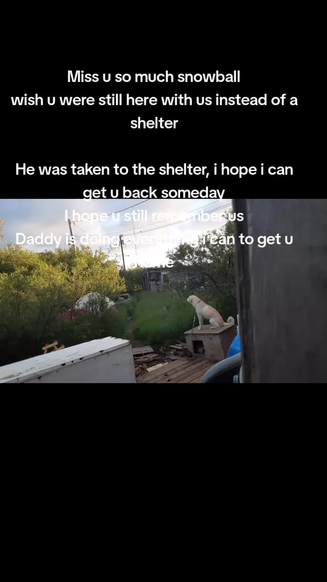@DarkJonny