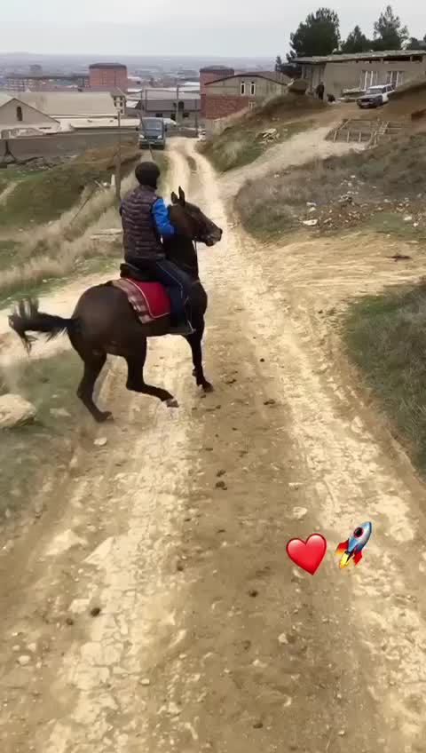 @tarki_horses05