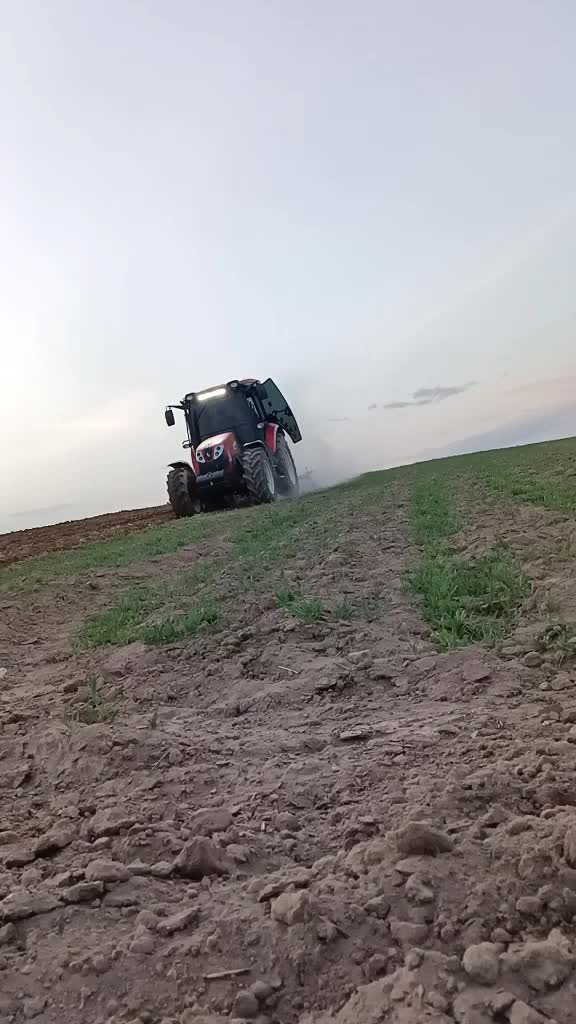 @Emmi Oğulları