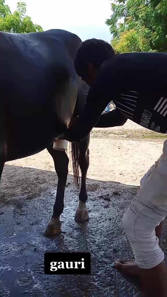 @🐴🐎નટખટ અષવાર 😉😁