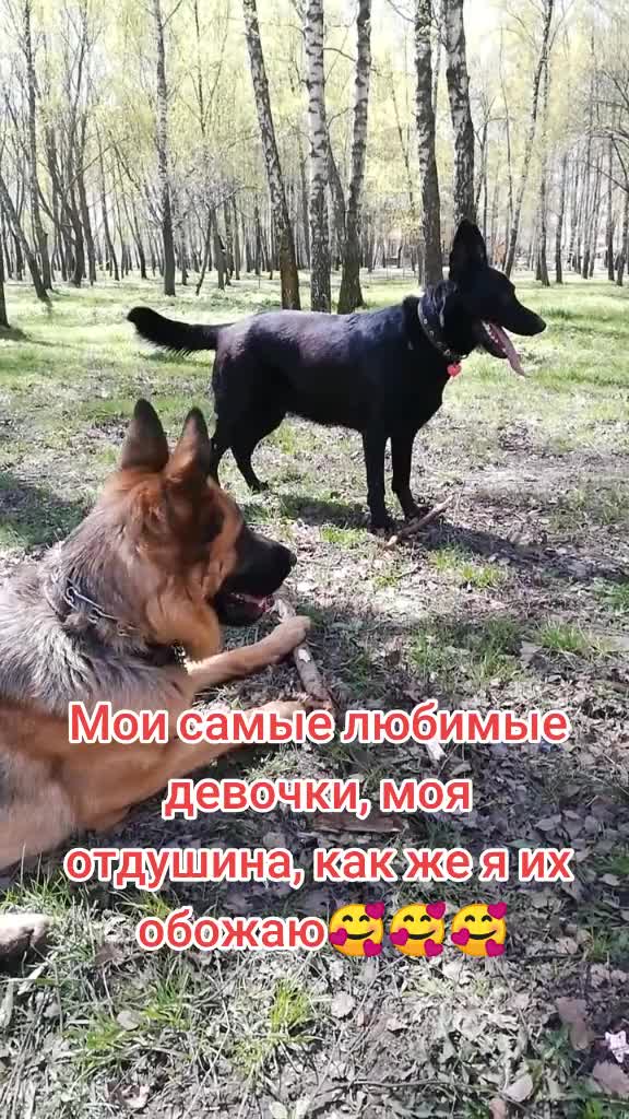 @Irinagerasimova