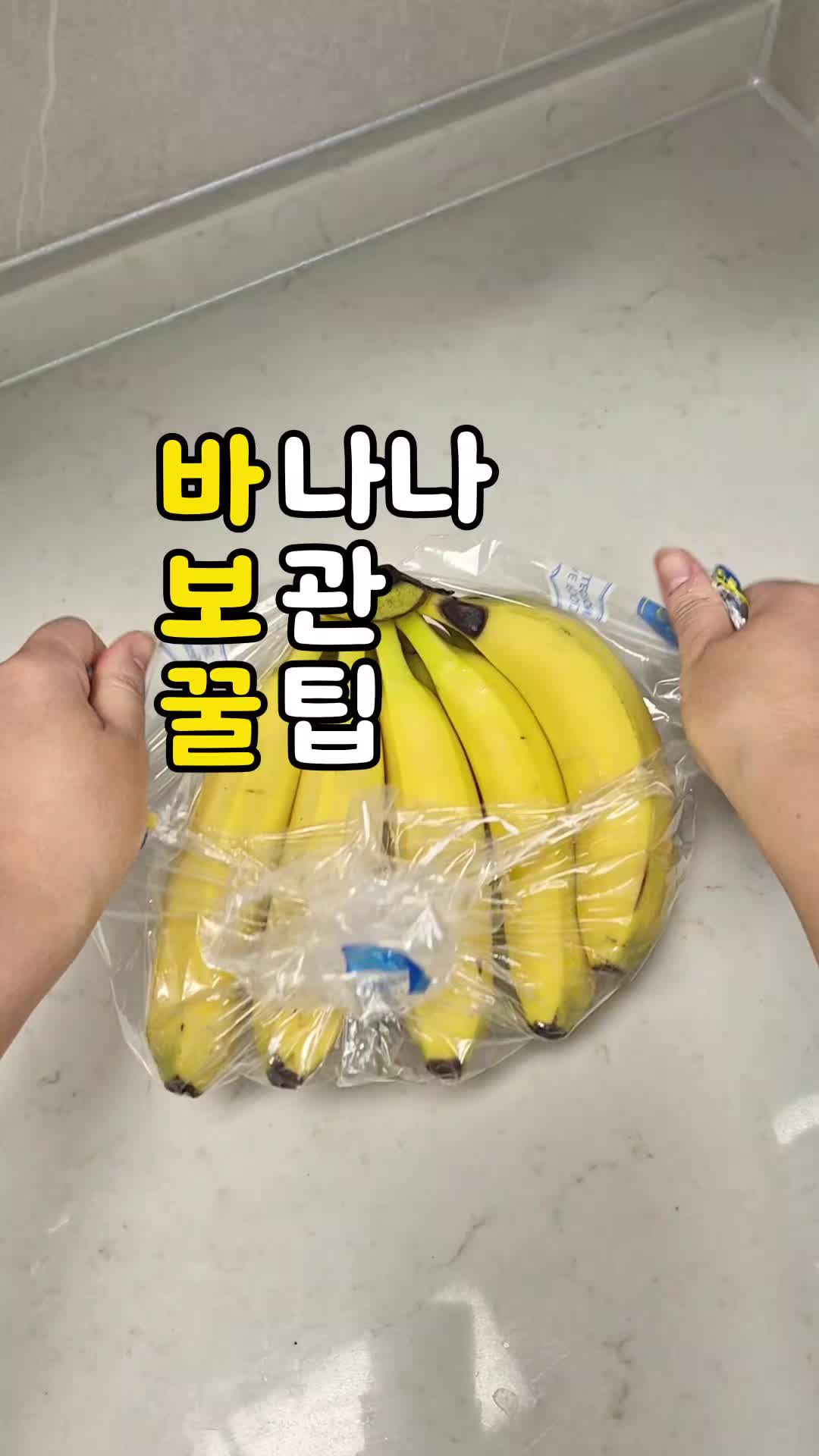 @밥밥비바