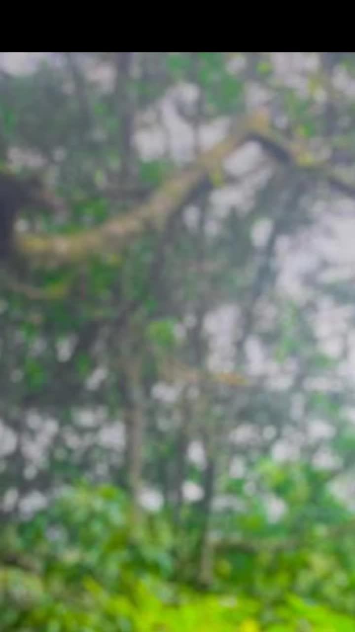 @Sithija