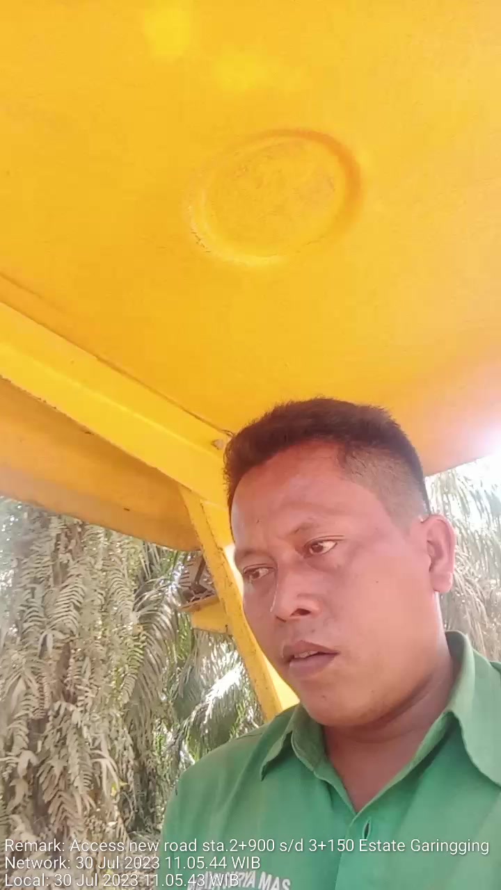 @borneo5379017718526