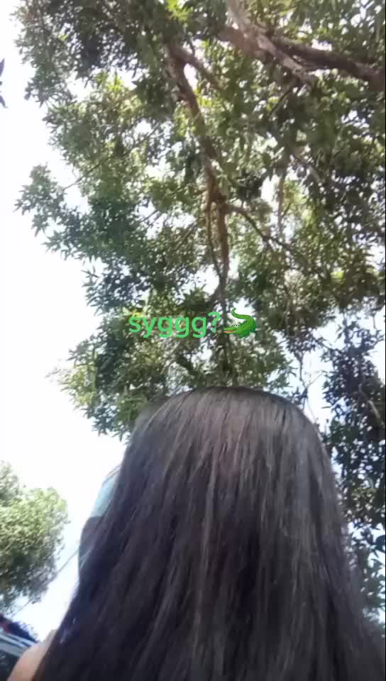 @Baygon🤟