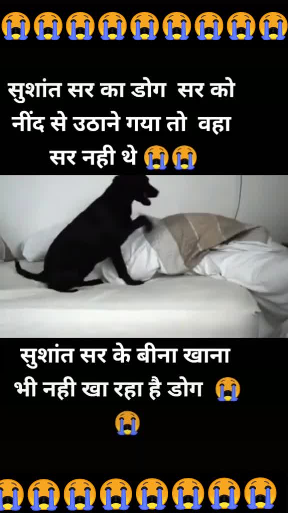@🔥Bagi Ballia 🔥