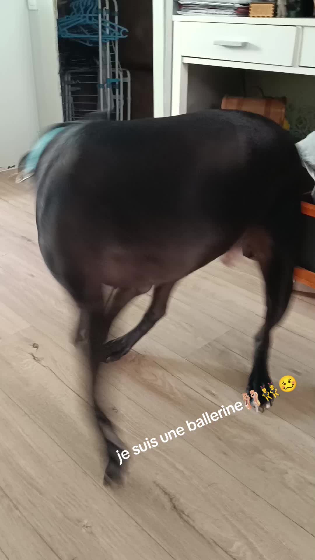@AR