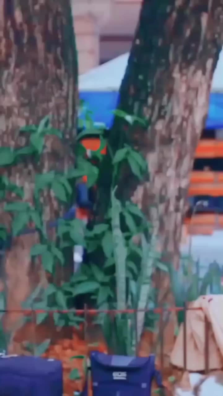@rahulkumarbk0
